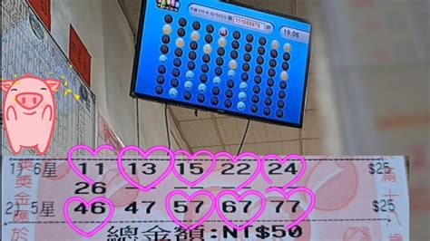 Bingo bingo 賓 果 賓 果 分析
